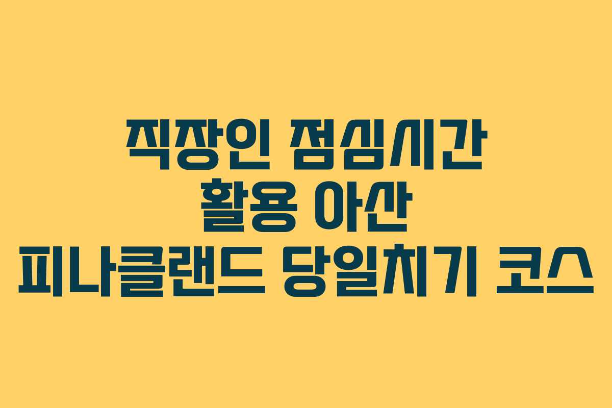 직장인 점심시간 활용 아산 피나클랜드 당일치기 코스
