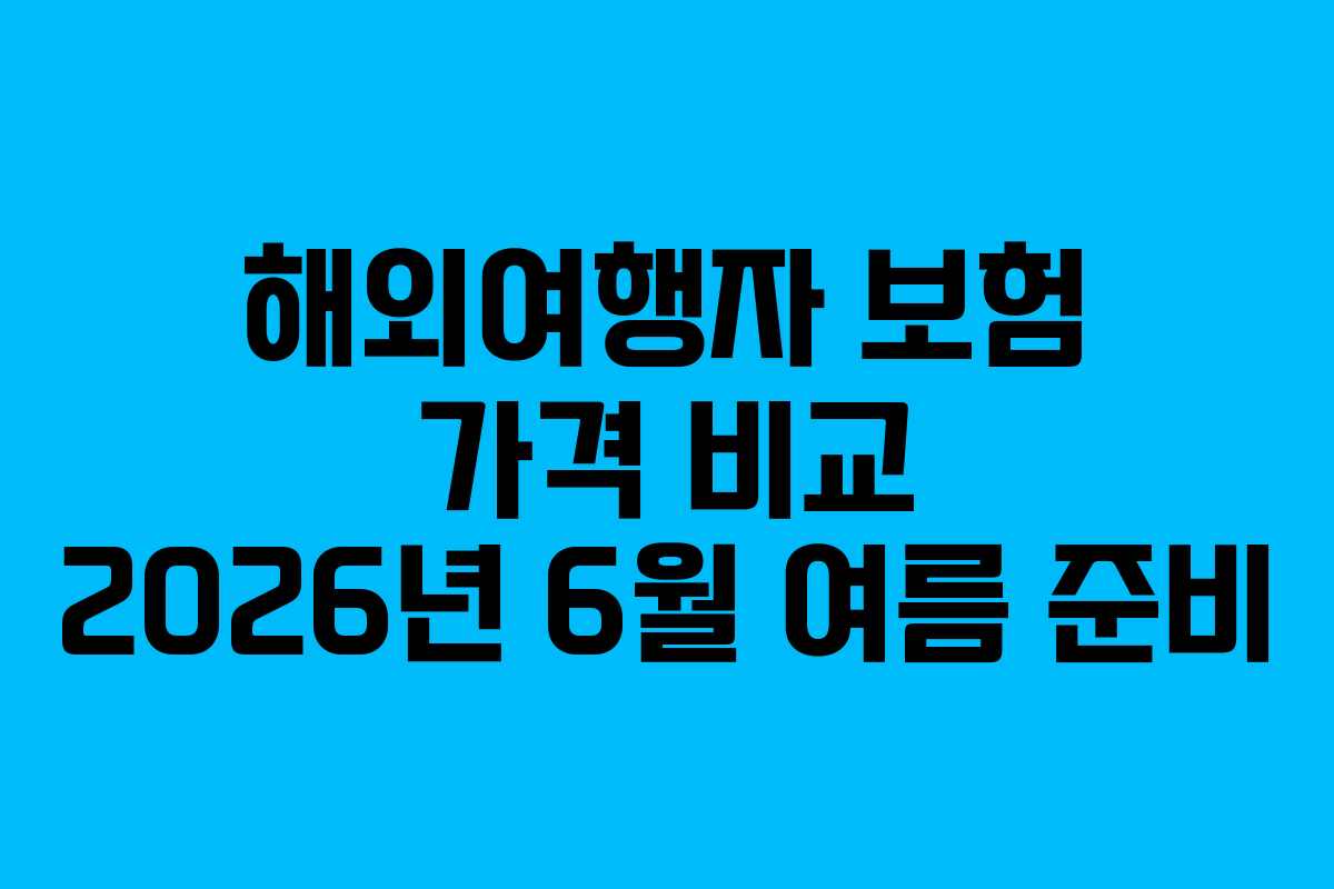 해외여행자 보험 가격 비교 2026년 6월 여름 준비 해외여행자 보험 가격 비교 2026년 6월 여름 준비