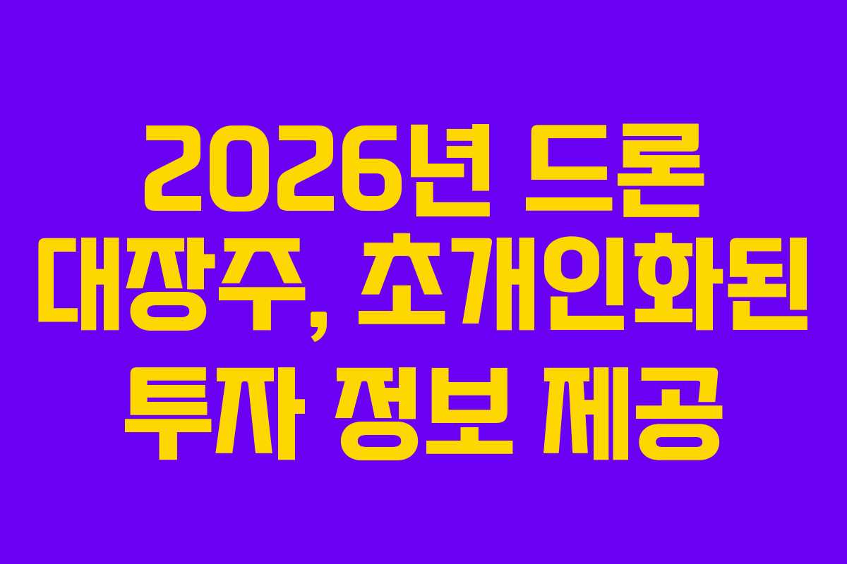 2026년 드론 대장주, 초개인화된 투자 정보 제공