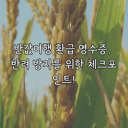 반값여행 환급 영수증, 반려 방지를 위한 체크포인트!