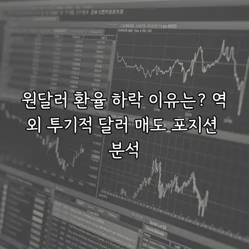 원달러 환율 하락 이유는? 역외 투기적 달러 매도 포지션 분석