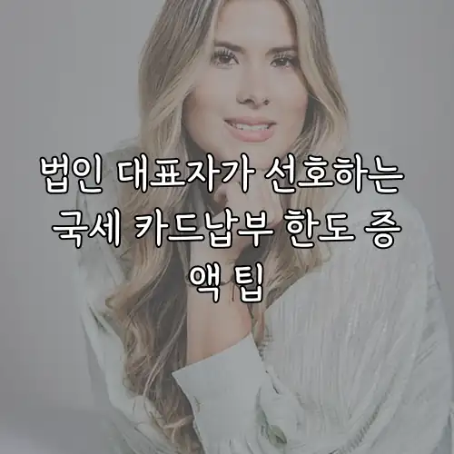 법인 대표자가 선호하는 국세 카드납부 한도 증액 팁