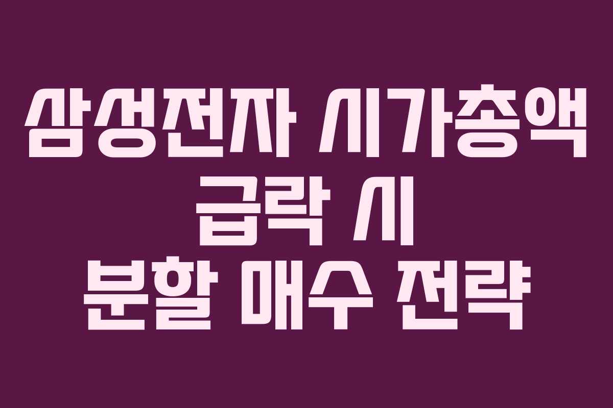 삼성전자 시가총액 급락 시 분할 매수 전략