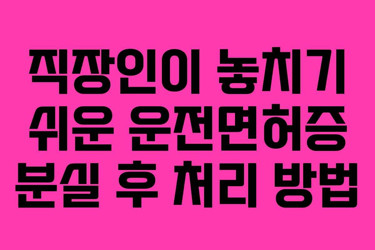 직장인이 놓치기 쉬운 운전면허증 분실 후 처리 방법
