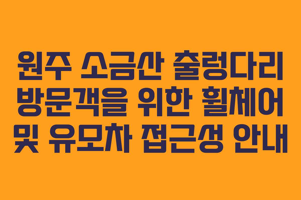 원주 소금산 출렁다리 방문객을 위한 휠체어 및 유모차 접근성 안내