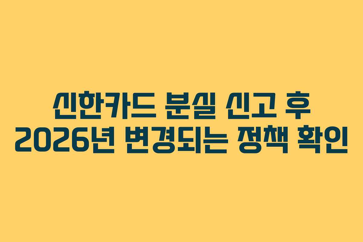 신한카드 분실 신고 후 2026년 변경되는 정책 확인 신한카드 분실 신고 후 2026년 변경되는 정책 확인