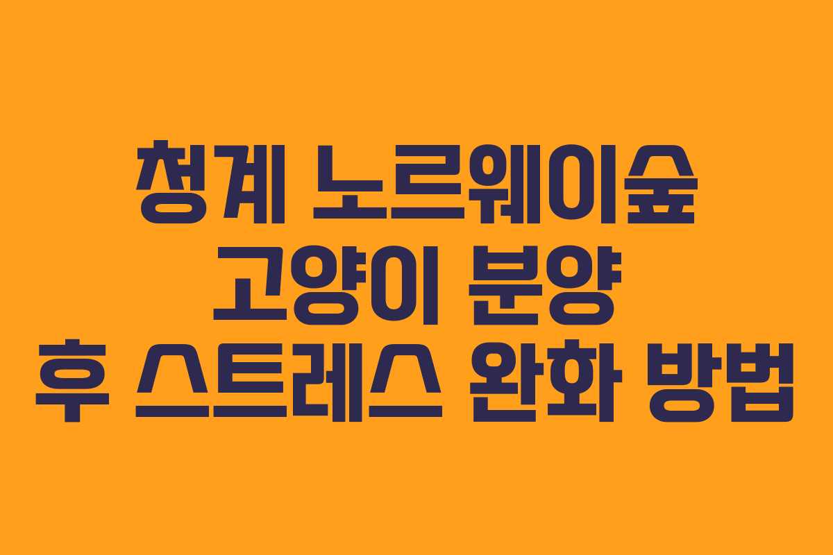 청계 노르웨이숲 고양이 분양 후 스트레스 완화 방법