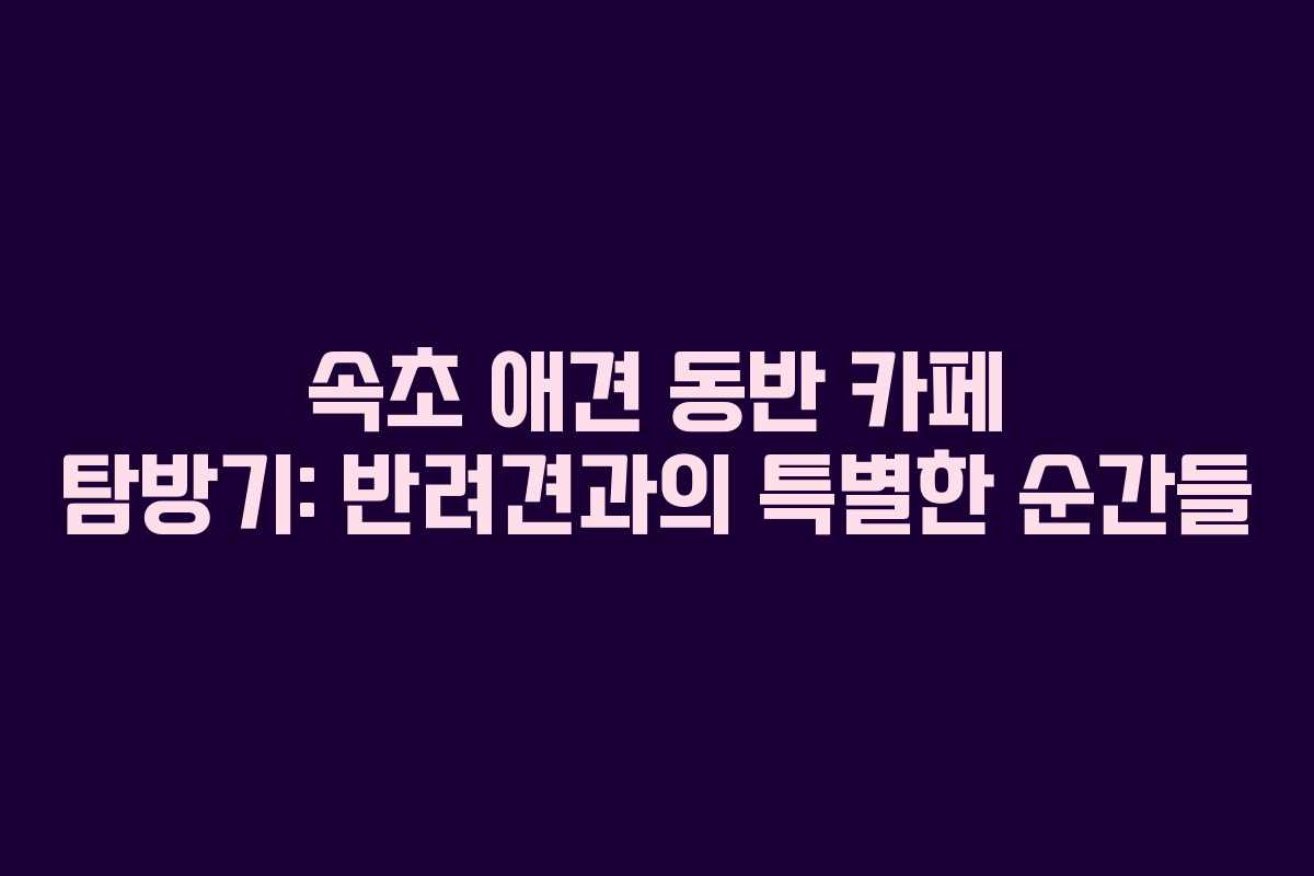 속초 애견 동반 카페 탐방기: 반려견과의 특별한 순간들 속초 애견 동반 카페 탐방기: 반려견과의 특별한 순간들